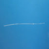 Carotid Artery Catheter for Rats