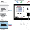 SomnoSuite system layout