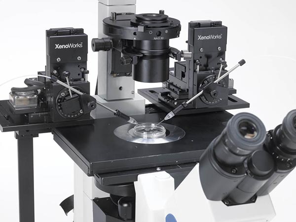 XenoWorks® digital microinjection system