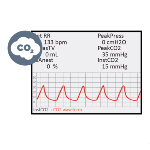 Respiratory Gas Monitoring