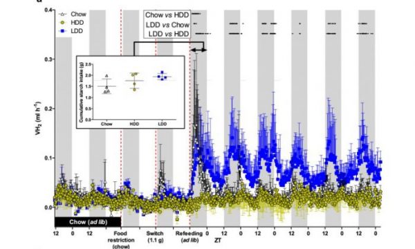 Microbiome Gas Sensor