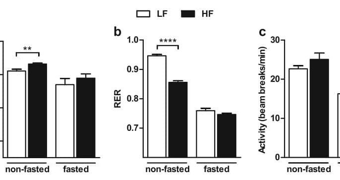 Oxygen consumption, RER and physical activity under normoxic conditions of LF and HF mice. Oxygen consumption (a), RER (b) and physical activity (c) under normal, free-feeding conditions were averaged over the last 4 of the 5 days of high- or low-fat feeding. The 2 h before the exposure to OxR—when mice were in a fasted state—were used to analyze VO2, RER and physical activity under normal, although fasted, conditions. **P<0.01 and ****P<0.0001