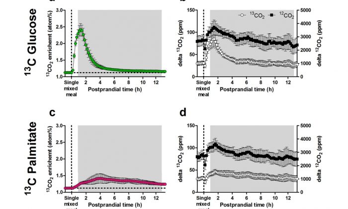 Stable Isotope Gas Sensors