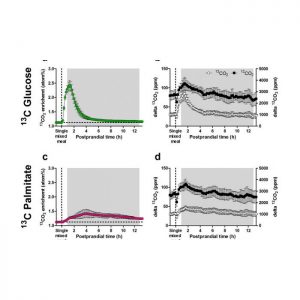 Stable Isotope Gas Sensors