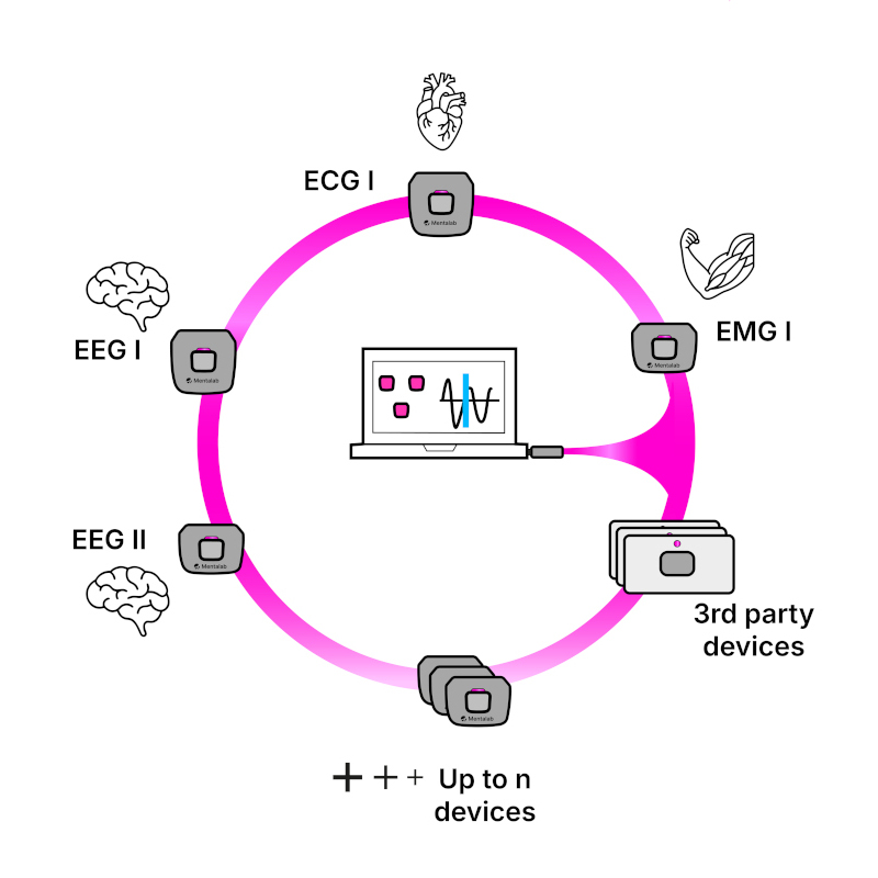 Mentalab infographic without logo