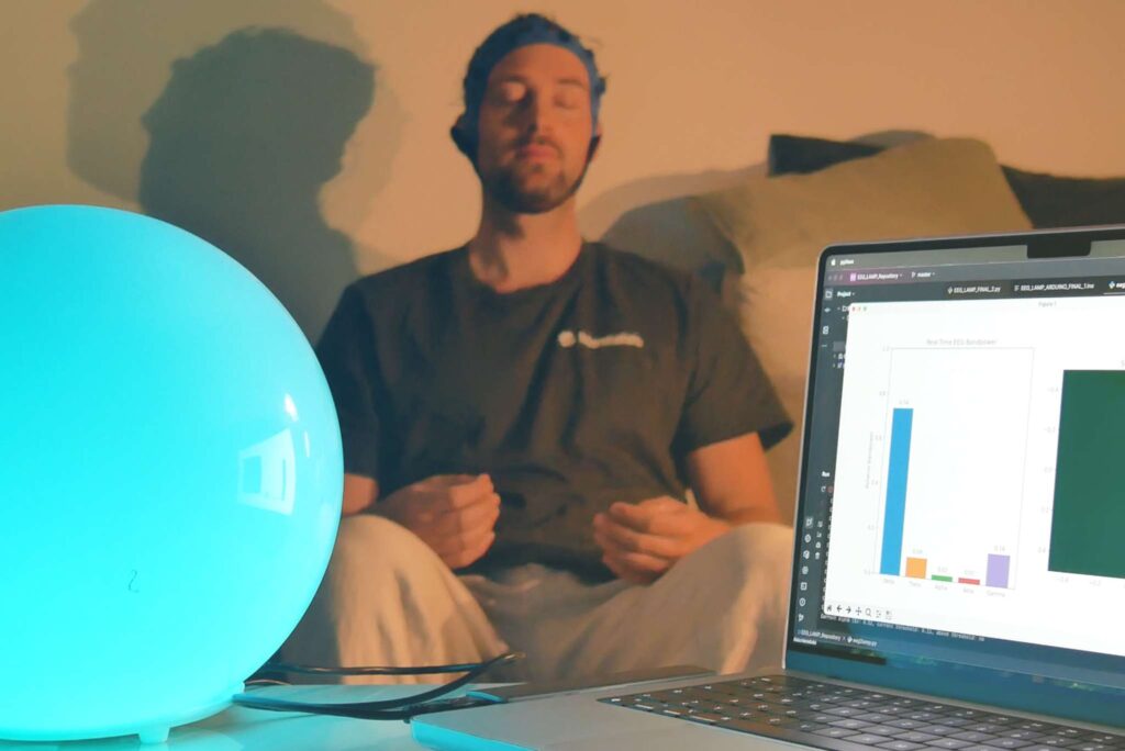 Auditory Neuroscience